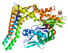 Protein BAG1 PDB 1hx1.png