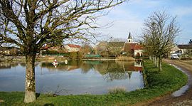 The lake in Cérilly