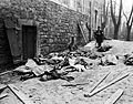 The bodies of Belgian men, women, and children, killed by the German military during their counter-offensive into Luxembourg and Belgium, await identification before burial, 1944.