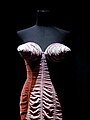 Gaultier's notoriety increased in the 1980s with several cone-breasted designs, similar to one worn on tour by Madonna.