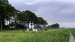 Tracé van een afgegraven stuk van de Waarddijk met op de achtergrond een restant. Rechts de Waardsterpolder, links de Ruigewaard