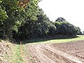 Le tumulus de Run-ar-Bleiz (Tertre-aux-Loups) 2.