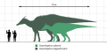 Saurolophus Species Scale Diagram