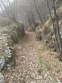 Monte Denai, scorcio dell'antica mulattiera che congiunge Magasa con il monte