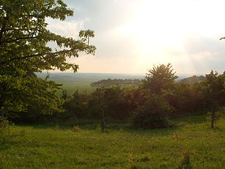 Blick ins Thüringer Becken vom Beichlinger Kirschberg (Herrschaftswege am Schloss)