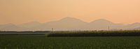 Grassland in Queensland with mountains in background