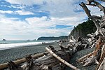 Miniatuur voor Rialto Beach