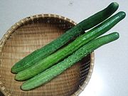 大和伝統野菜「大和三尺きゅうり」