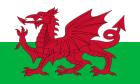 Welsh Flag