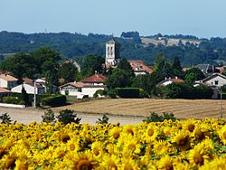 Skyline of Gout-Rossignol