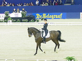 Schellekens op Jumping Amsterdam in de FEI World cup.