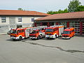 Platoon of the fire department of Hofgeismar/Germany