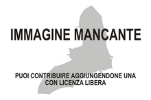 Immagine di Eptesicus bottae mancante