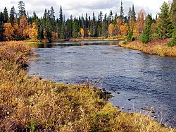 Porttikosken alapuolinen suvanto