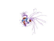 2fho: NMR solution structure of the human spliceosomal protein complex p14-SF3b155