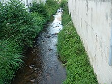 Pont-Trambouze - Trambouze.JPG