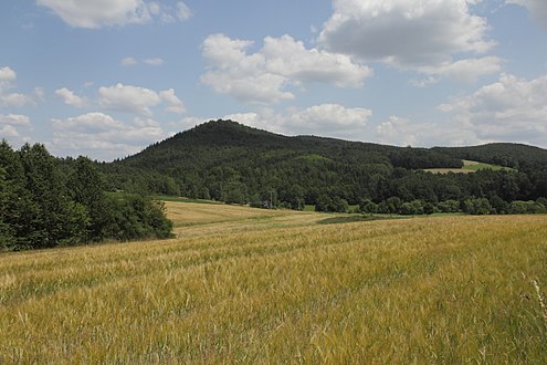 Ansicht des Warberges aus westlicher Richtung (Juli 2013)