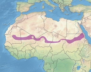 Description de l'image Ecoregion PA1329.svg.