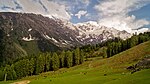 Meadow with cattle grazing and snow-capped peaks in the background