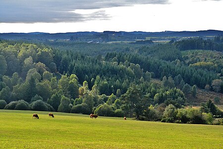 Paysage typique du plateau du XXIe siècle, dominé par la forêt et quelques prés.