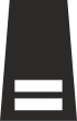 Special Inspector Rank Insignia