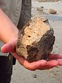 Dinosaur Provincial Park