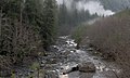 Loss Creek at the point that Noyse Creek empties into it.