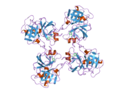 2bdh: Human Kallikrein 4 complex with zinc and p-aminobenzamidine