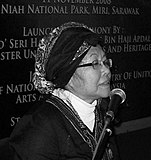 Siti Zainon Ismail, Sasterawan Negara ke-14