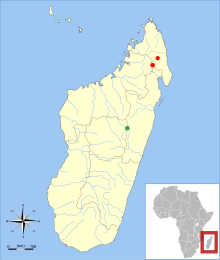 Map of Madagascar showing localities where Voalavo species have been found