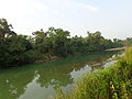 Water body at Bardiya National Park