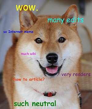 Another Wikipedia Doge.