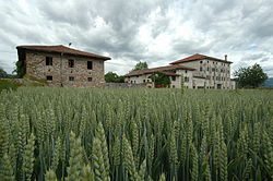 Skyline of Reana del Rojale