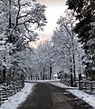 Skansen on a winter afternoon