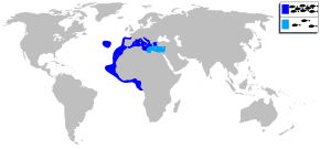 Description de l'image Apogon imberbis mapa.svg.