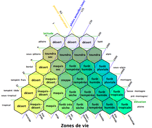 Influence combinée des facteurs géographiques climatiques sur les écosystèmes (en réalité les écosystèmes influent aussi rétroactivement sur le climat et produisent du relief, sur le très long terme).