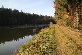 Wanderweg am Neuteich