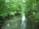 L'Oberriedgraben, rivière de l'Illwald.