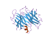 2g3z: Crystal structure of Transthyretin mutant I84A at low pH