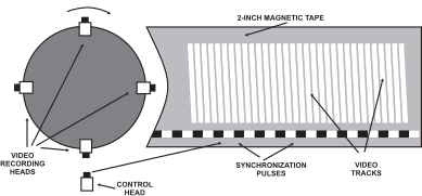 The Quadruplex system