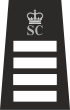 Special Superintendant Rank Insignia with SC & Crowns