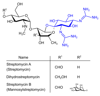 Strepotomycine (blau: Streptidinstruktur)