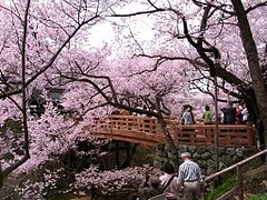 高遠城 （伊那市）