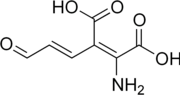 2-amino-3-karboxymukonátsemialdehyd