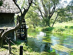 大王わさび農場 （安曇野市）