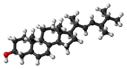 Ball-and-stick model of ergosterol