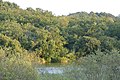 Der Hellesø, nach der Theorie Jens Rabens war dies der Teich der Nerthus