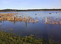 Lagoa en nadal