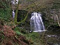 Linn Spout on the Caaf Water; illustrating the thick limestone deposits in this area.