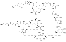 Structuurformule van palytoxine